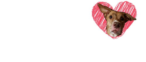 logotype
